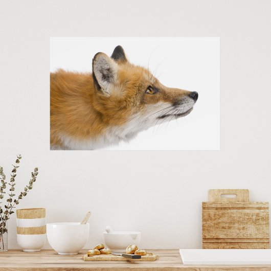 赤狐 ポスター (キッチン)