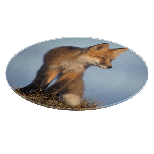 赤狐, Vulpes vulpes カッティングボード (角)