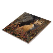 赤狐, Vulpes vulpes タイル (側面)