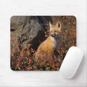 赤狐, Vulpes vulpes マウスパッド (マウス)