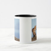 赤狐, Vulpes vulpes マグカップ (中央)