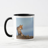 赤狐, Vulpes vulpes マグカップ (左)