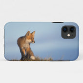 赤狐, Vulpes vulpes Case-Mate iPhoneケース (裏面(横))