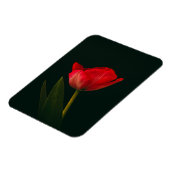 赤独身のチューリップ マグネット (左側)