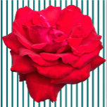 赤独身のバラ彫刻 フォトスカルプチャー<br><div class="desc">ザズル独身のとエリザベスのクリエイティブExhiitsの赤いバラのデザインは、赤いバラを特徴と独身のしている。黄色のバラ独身のス、ピンクのバラ独身のス、白のバラも独身の用意。赤いバラは愛と情熱を象徴し、黄色のバラは友情を象徴し、ピンクのバラは憧れや愛情を象徴し、白いバラはブライダルバラとして知られ、無垢さ、純粋さ、記憶を象徴する。このバラをフィーチャーしたデザインやその他のデザインは、エリザベス・アン・ロイのザッズル店、エリザベスのクリエイティブExhiits http://www.zazzle.com/ElizabethAnnRoy、バラデザインの下のエリザベス・アン・ロイとマリリン・ロイのザッズル店、MarBeth Holidays http://www.zazzle.marbethholidaysで多数の製品で入手できる。</div>