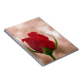 赤独身のバラ ノートブック (右側)