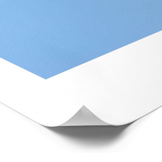 赤独身のバラ ポスター (角)