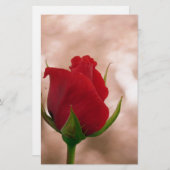 赤独身のバラ 便箋 (正面/裏面)