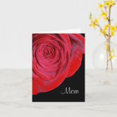 赤独身のローズマムカード カード (黄色い花)