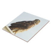 赤猫瓦 タイル (側面)