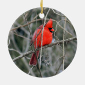 赤王室の（鳥）ショウジョウコウカンチョウセラミックオーナメント セラミックオーナメント (裏面)