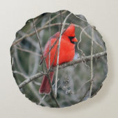 赤王室の（鳥）ショウジョウコウカンチョウ円枕 ラウンドクッション (裏面)