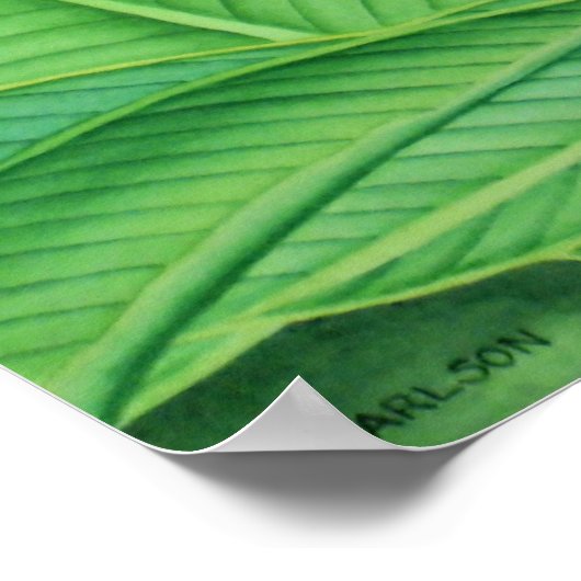 赤生姜の水色 ポスター (角)