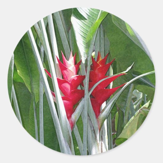 赤生姜ステッカー ラウンドシール (正面)