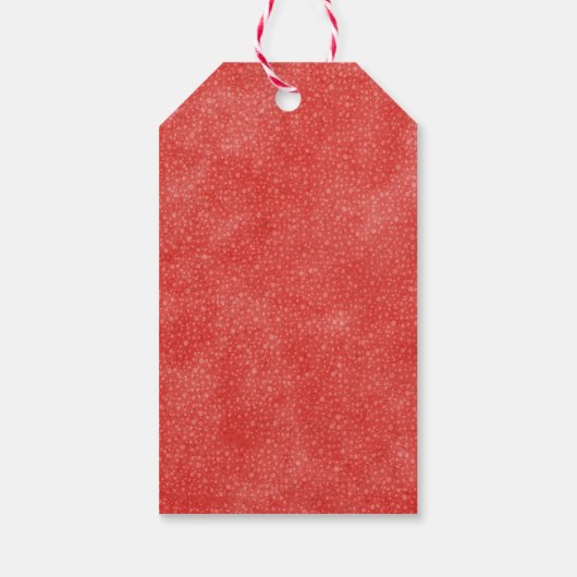 赤白と私は愛国的なブライダルシャワー好意B ギフトタグ (裏面)