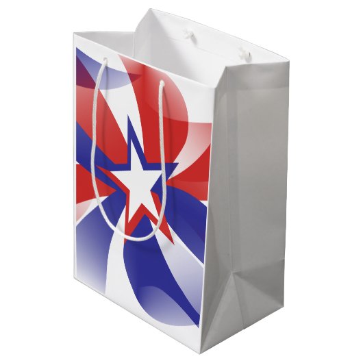 赤白と青Dazzle Me愛国的抱き枕 ミディアムペーパーバッグ (裏面アングル)