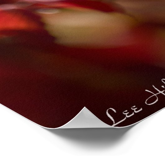 赤白熱［赤熱］光を放つとオレンジの紅葉ポスター ポスター (角)