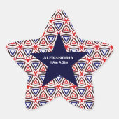 赤白青アメリカ愛国的モダンカスタム 星シール (正面)