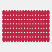 赤白青アメリカ第4回7月スターストライプズ ラッピングペーパーシート (正面)