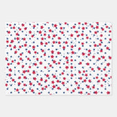 赤白青スターズパターンUSA独立記念日 ラッピングペーパーシート (正面3)