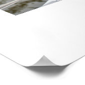 赤白青フローラ葬式サイン ポスター (角)