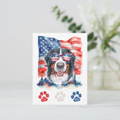 赤白青ベルネーズマウンテンドッグ7月4日 シーズンポストカード (スタンド正面)