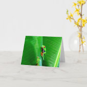 赤目のカエルからの挨拶 カード (黄色い花)