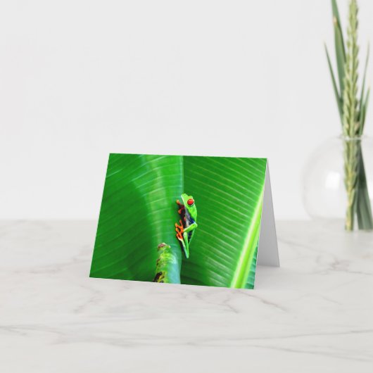 赤目のカエルからの挨拶 カード (正面)