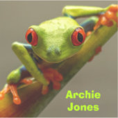 赤目のカエルが君を見て写真を撮るパーソナライズされた シール (正面)