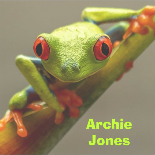 赤目のカエルが君を見て写真を撮るパーソナライズされた シール (正面)