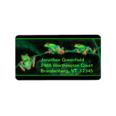 赤目のカエル ラベル (正面)