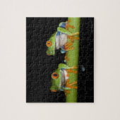 赤目のツノガエル(Agalychnis calidras) ジグソーパズル (縦)