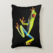 赤目の木絵を描のカエル アクセントクッション (正面(垂直))