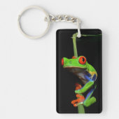 赤目の木絵を描のカエル キーホルダー (正面)