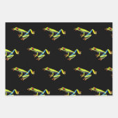 赤目の木絵を描のカエル ラッピングペーパーシート (正面2)