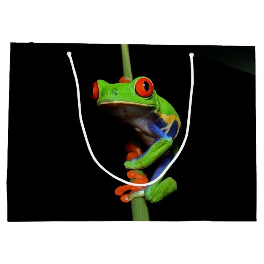 赤目の木絵を描のカエル ラージペーパーバッグ (裏面)