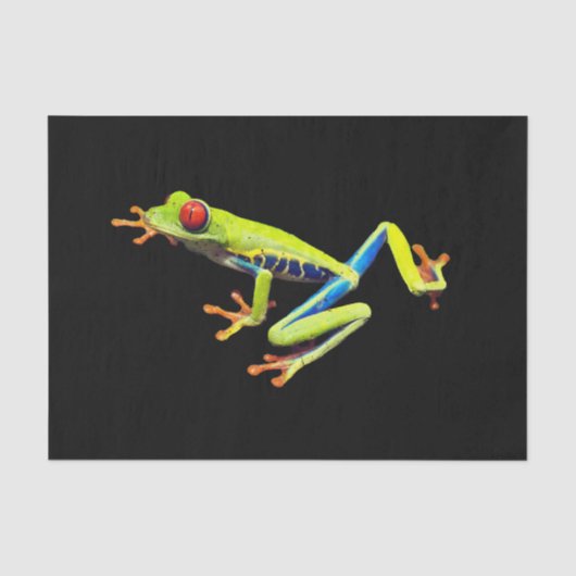 赤目の木絵を描のカエル 薄葉紙 (正面)