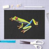赤目の木絵を描のカエル 薄葉紙 (クラフト)