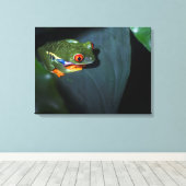 赤目カエル座る キャンバスプリント (インサイチュ (ウッドフロア))