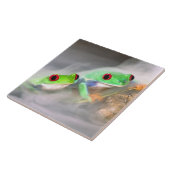 赤目ツリーフロッグ霧の中で、アガリチニス2 タイル (側面)