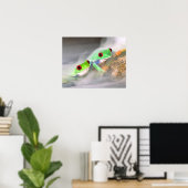 赤目ツリーフロッグ霧の中で、アガリチニス2 ポスター (ホームオフィス)