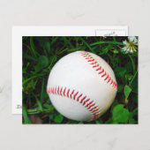 赤目付き白野球 ポストカード (正面/裏面)