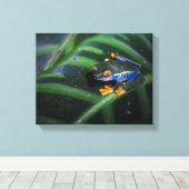 赤目蛙の葉 キャンバスプリント (インサイチュ (ウッドフロア))