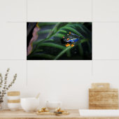 赤目蛙の葉 ポスター (キッチン)