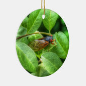 赤目蝉 セラミックオーナメント (右)
