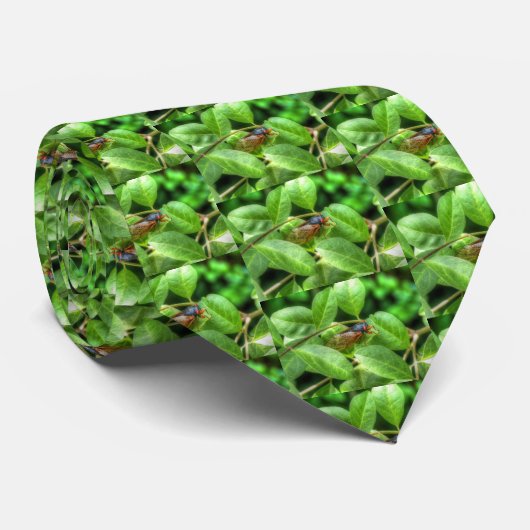 赤目蝉 ネクタイ (ロール)