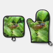 赤目蝉 鍋つかみ&鍋敷きセット (正面)