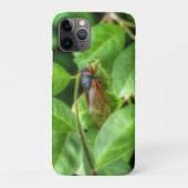 赤目蝉 Case-Mate iPhoneケース (裏)