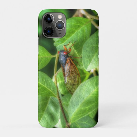 赤目蝉 Case-Mate iPhoneケース (裏)