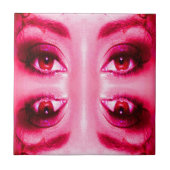 赤目 タイル (正面)